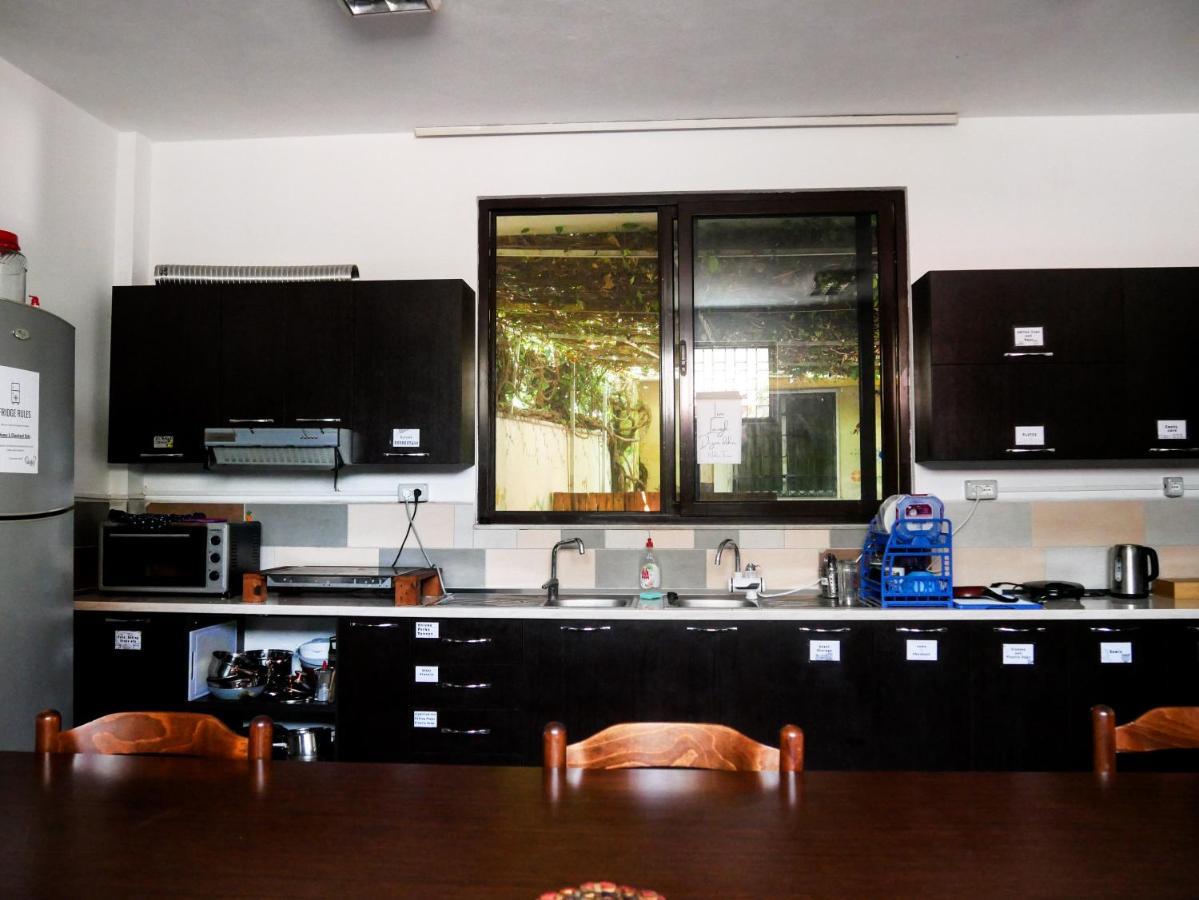 The Galley Party Hostel Shkodër エクステリア 写真